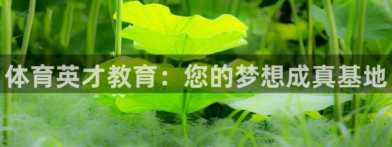 富联平台是什么