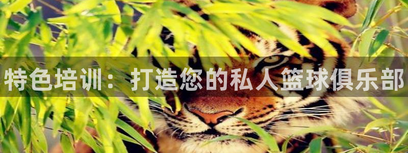 富联平台辉 411o31 富联：特色培训：打造您的私